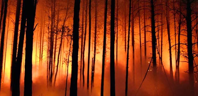 Incendi boschivi: la parola d'ordine è prevenzione